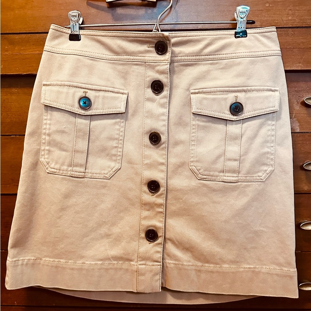 Ann Taylor Beige Skirt